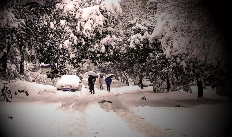 3、結婚遇到大雪預示着什麼:結婚下雪有什麼說法，大家記往：千萬別在大