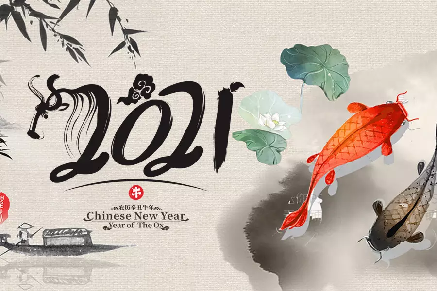 屬豬的男性配什麼屬相的女性好：屬豬的女生與什麼屬相的男生最配