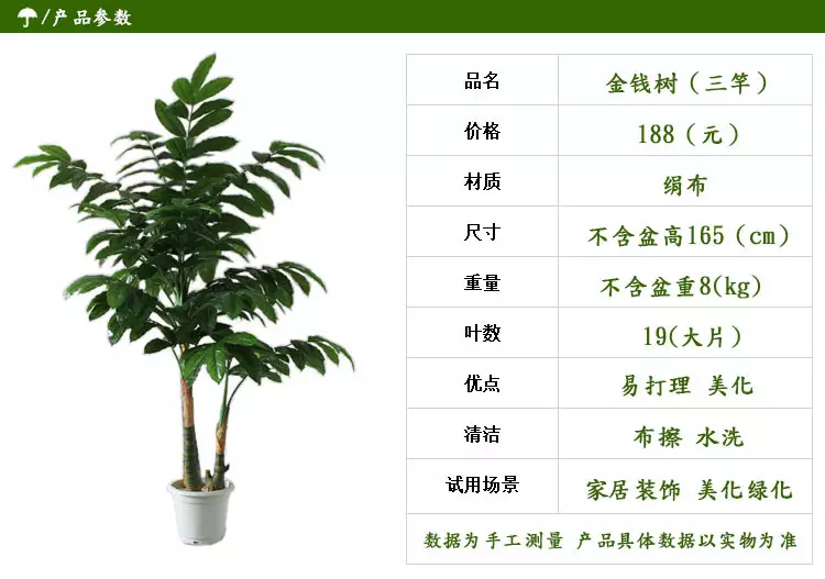 7、發財樹有幾種品種圖片大全:發財樹有幾種，求圖片