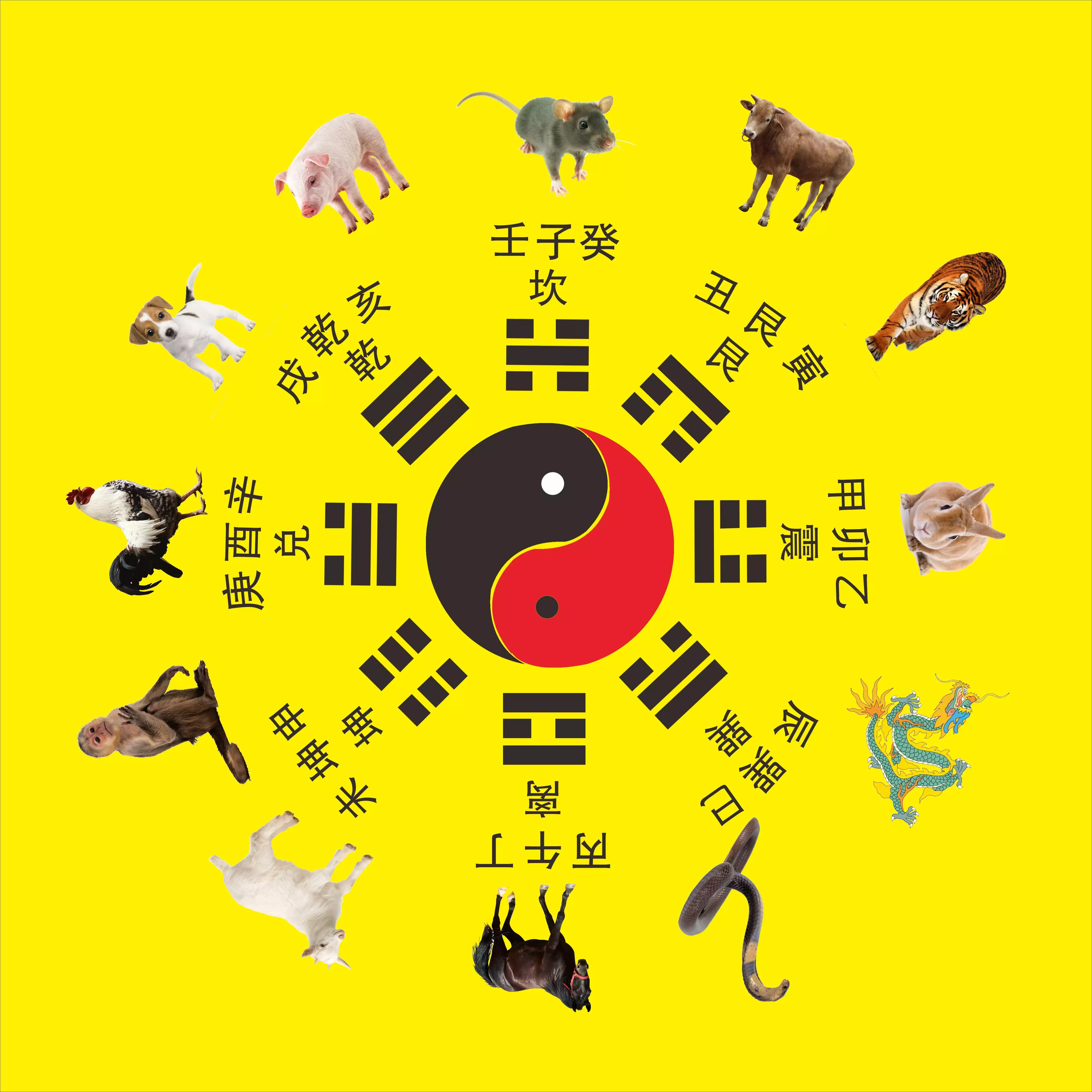 屬相時候不沖有什麼危害：生肖時候沖屬怎麼化解