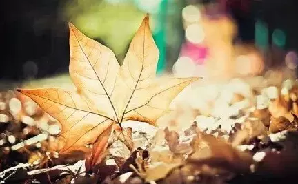 寓意財運越來越好的詞：形容人的運氣非常好的詞語