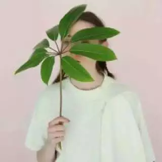 獨特的微信名字霸氣女：霸氣的微信名，女