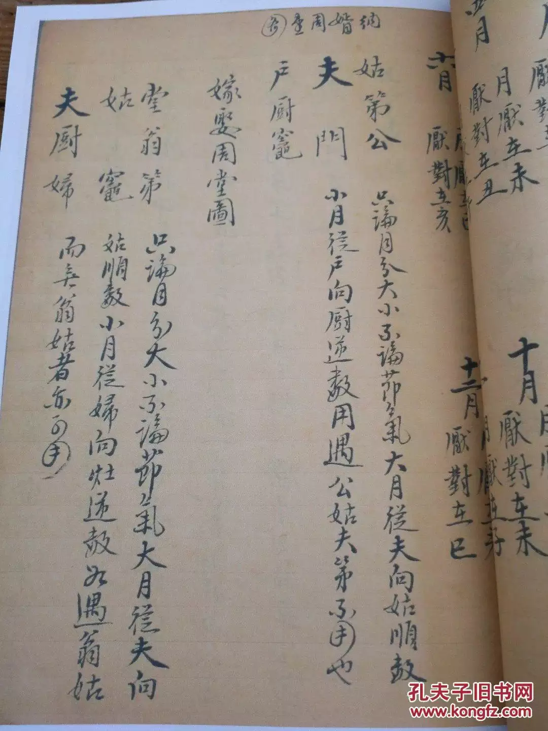 4、幫忙合婚並擇個結婚吉日，拜謝+20（網站黃曆軟件通用的就不要了謝謝）