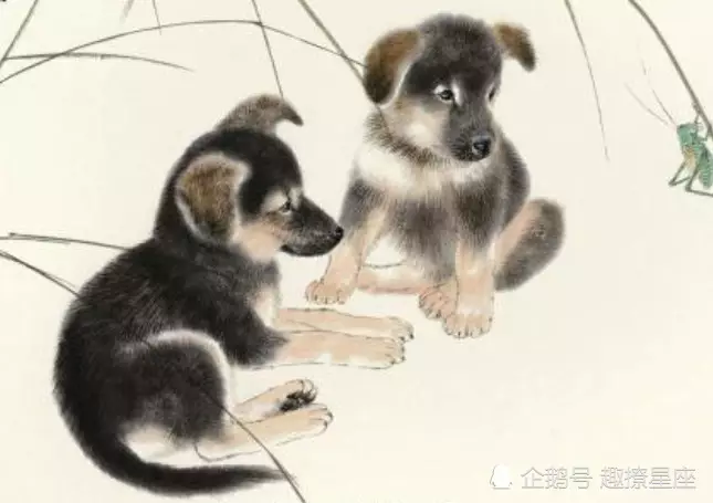 3、90年的馬和94年的狗婚配:年屬馬女跟年屬狗男相配嗎？