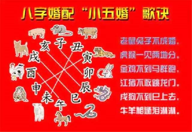4、屬虎男跟屬狗女婚配可以嗎:屬虎的男的和屬狗女的配嗎