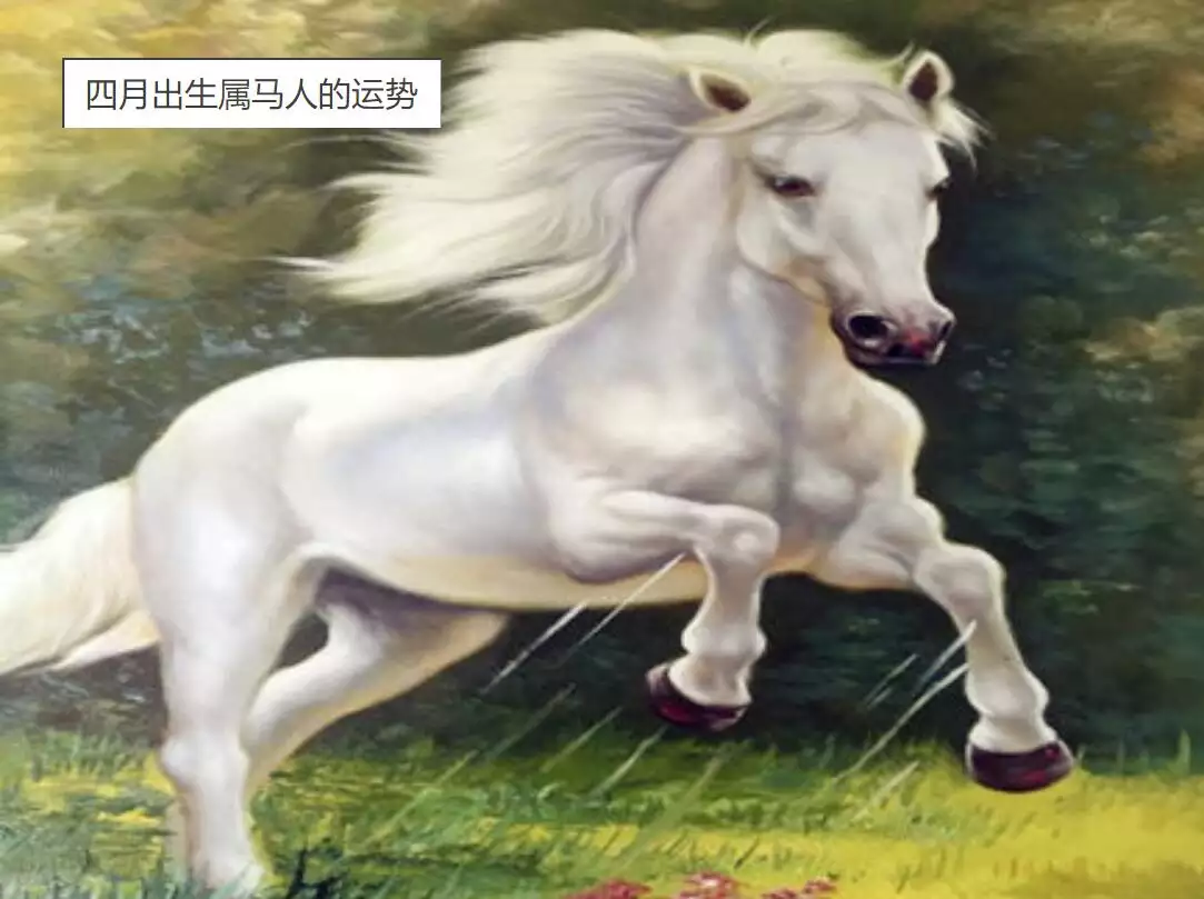 1、屬馬的人什麼時候財運:屬馬的人與什麼屬相的人一起做生意,財運
