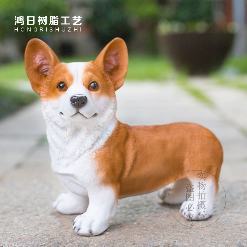 1、年招財又吉利的狗狗名字:招財又吉利的狗名字