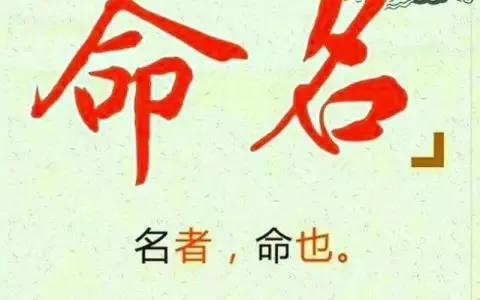 3、大林木命和火命婚配好嗎:女爐中火命和男大林木命相配嗎