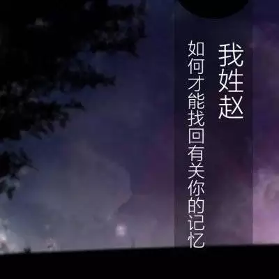 5、帶自己姓氏的頭像圖片趙:姓氏趙的所以文字圖片