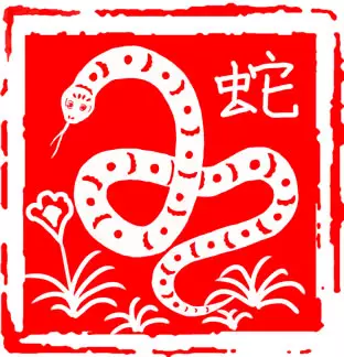 1、屬蛇的運勢年:屬蛇人年全年運勢如何