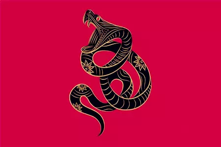 屬蛇的怎樣化解相剋的屬相：屬相相剋怎麼化解？？