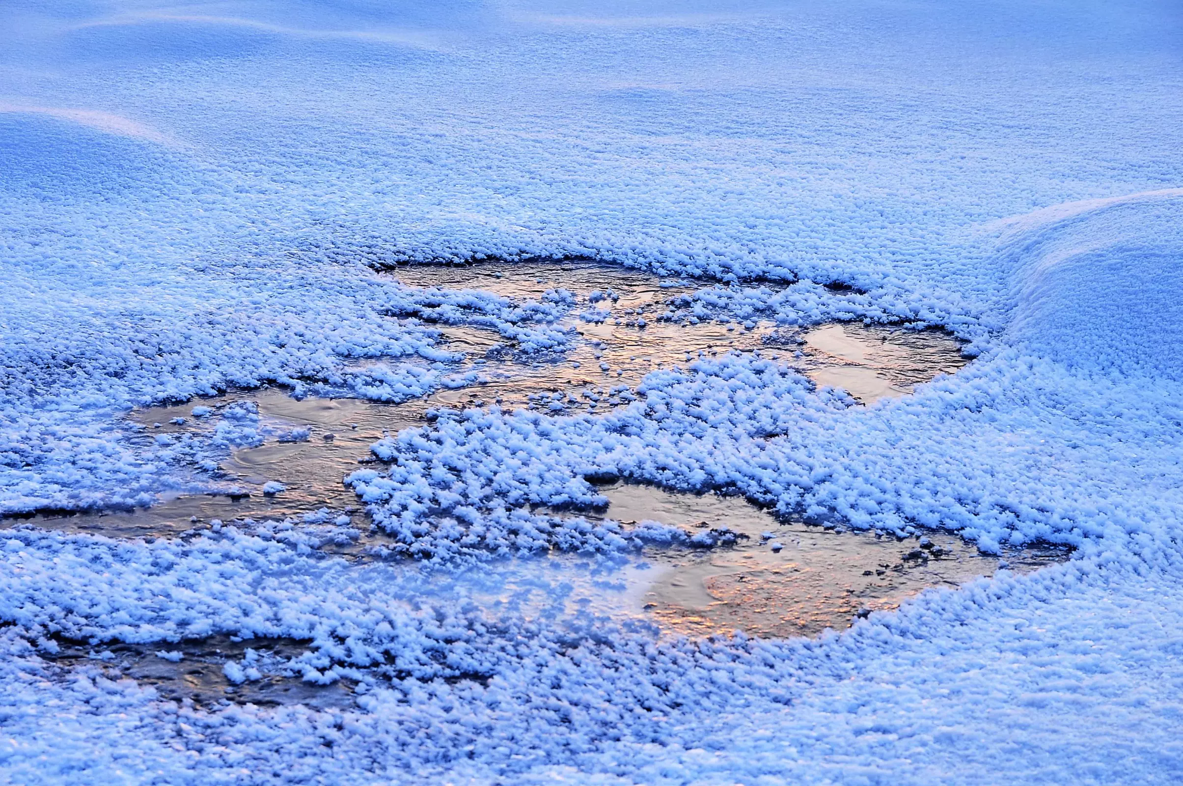 2021年1月25日屬相日：2021年1月25日出生屬什麼生肖