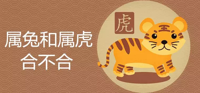 1、75年兔婚配74年虎好不好:年屬兔的女能配年的屬虎的男嗎