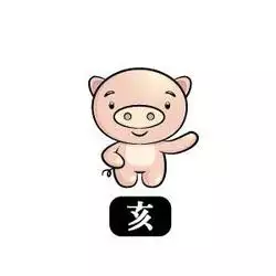 屬豬的寶寶和屬相豬相衝的生肖：屬兔和什麼屬相相剋 屬兔相衝的屬相介紹