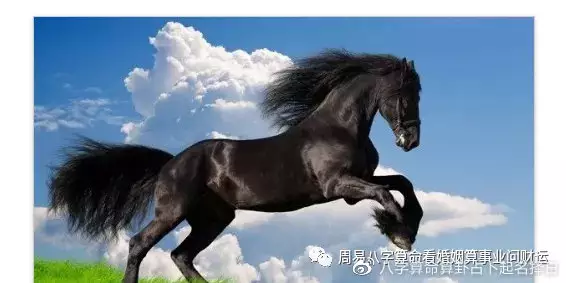 1、事業測試測你一生事業運如何:請測下我的事業婚姻和一生的命運！