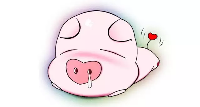 4、屬豬的命運與婚姻:屬豬的命運與婚姻