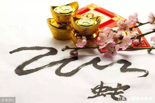 6、天生有商人頭腦的生肖:看頭腦簡單的生肖是什麼