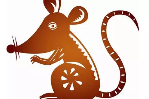 年屬鼠的到今年多大年齡：屬鼠有多少歲的