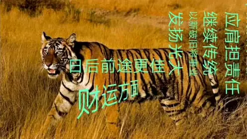 1、屬虎人吉利的数字:屬虎人的幸運数字