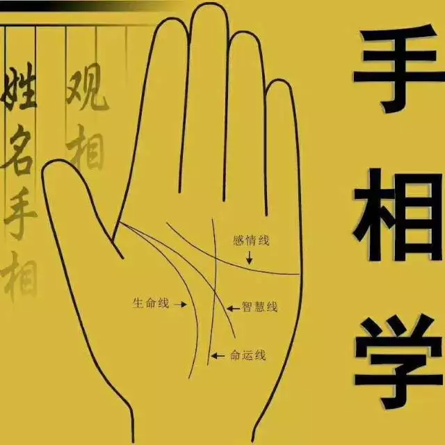 6、免費手相測試掃一掃:手相測試掃一掃？