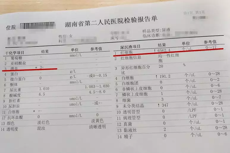 雙數單月懷孕是男是女：生男生女的計算公式據說準確度95%