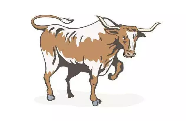 每個屬相好事發生的歲數：生肖歲數對照表