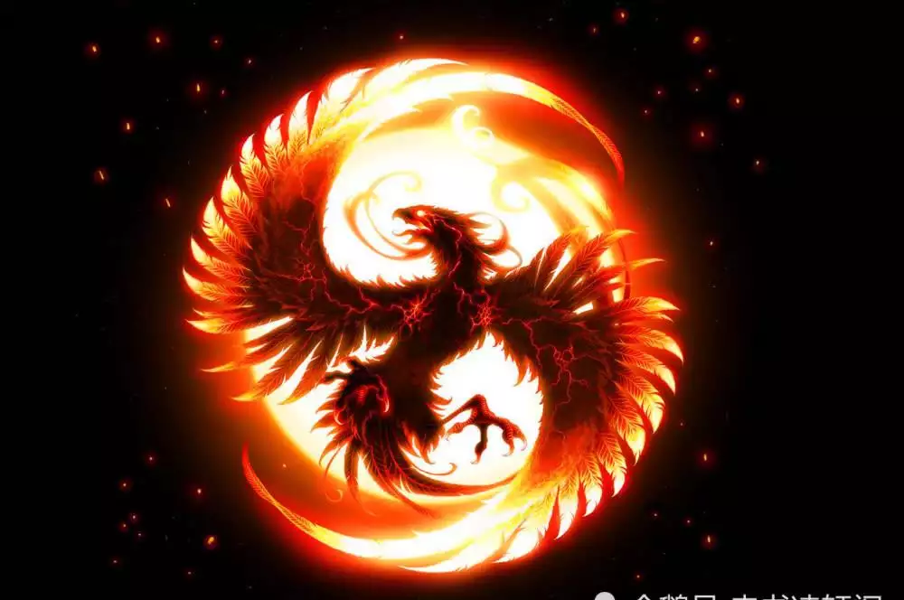 最好的麒麟和哪個屬相最配：麒麟和什麼相衝