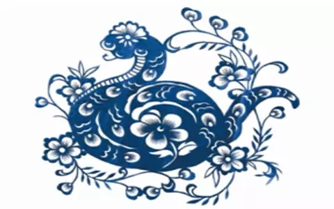 年屬蛇女學什麼專業好：年屬蛇的學習怎麼樣
