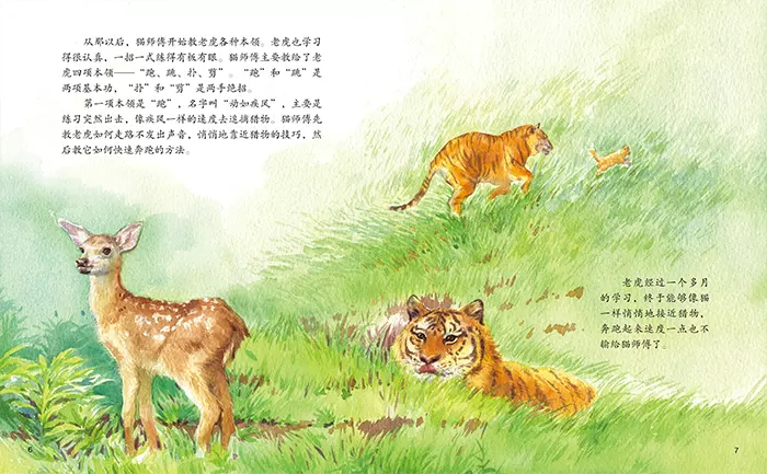 4、虎的來歷和故事:有關橋的詩歌,名稱的由來,故事和,圖片等,謝謝!