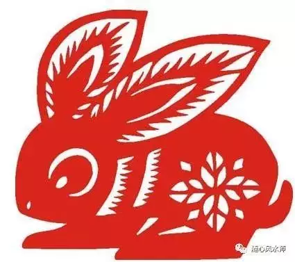 3、屬兔人年全年運勢:屬兔人全年運勢