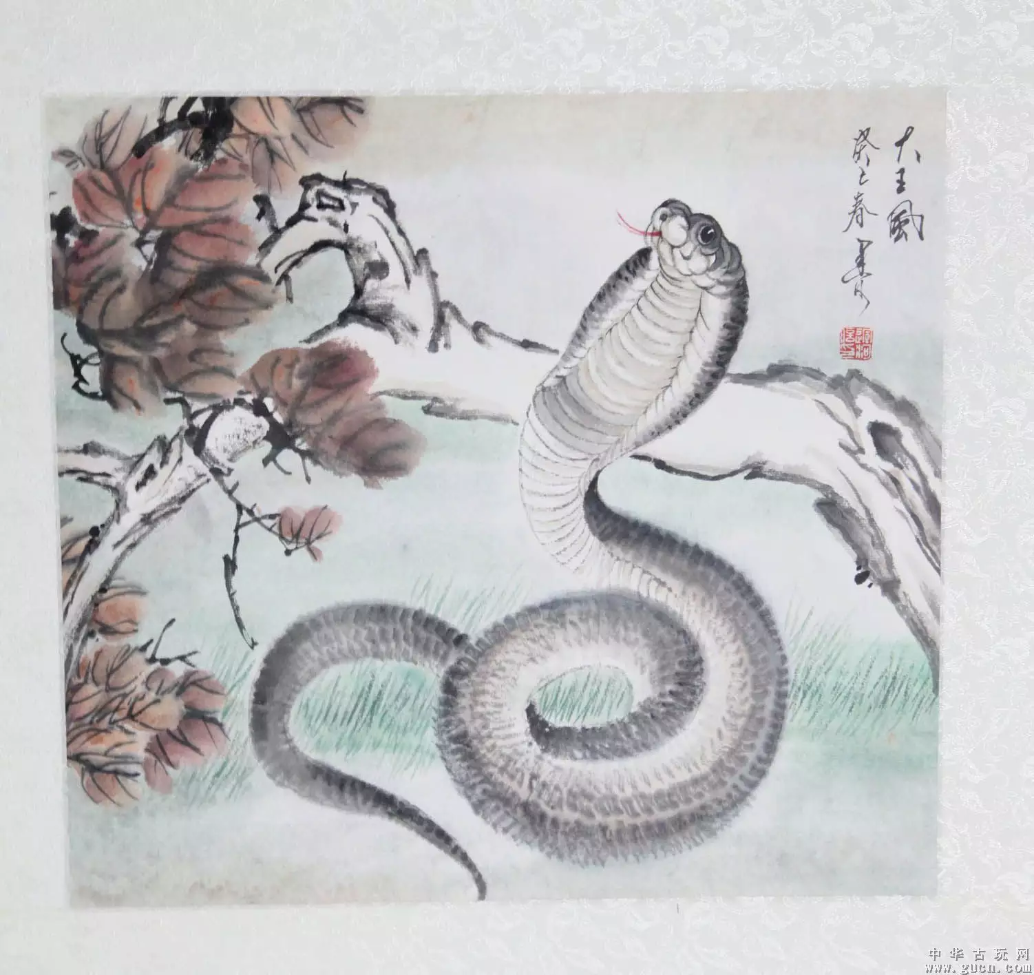 蛇與孩子蛇屬相合不合：蛇兒子和兔媽媽屬相合不合?