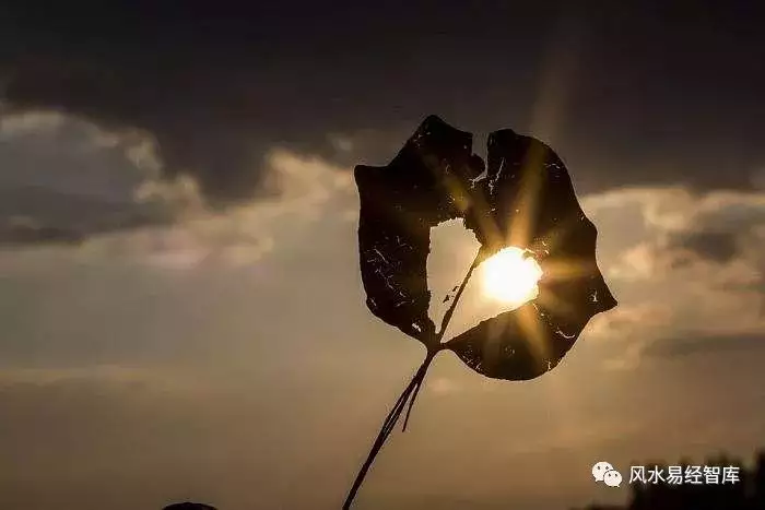 1、如何改變自己的命運和運氣:化解婚姻不順的方法有哪些