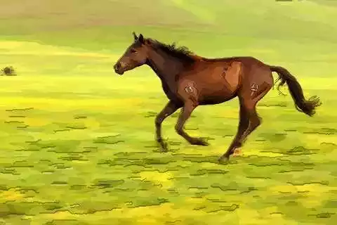 八字都是馬的人運氣若何,也就是馬年馬月馬日馬時出生的女孩,年出生的,請知道的解說下哦!
