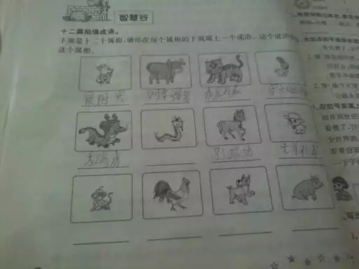 四小我私人族相一樣用什麼成語形容：名字跟人一樣用什麼成語形容