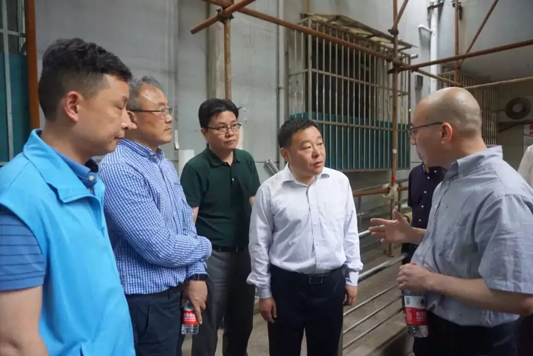 浦東姚凱屬相：92年屬猴的屬相婚配表