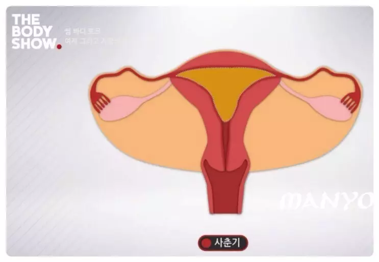 2、女人厚好還是薄好:女性厚怎麼調整呢？