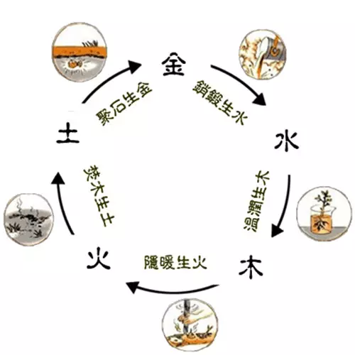出生日期可以和屬相相衝嗎：屬羊屬羊的和什麼屬相相剋