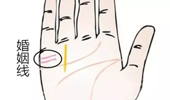 1、怎麼查詢一個人的婚姻:如何查一個人的婚姻狀況