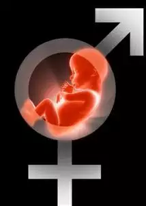 懷孕幾個月能看出男女：一直查女孩生下來男孩