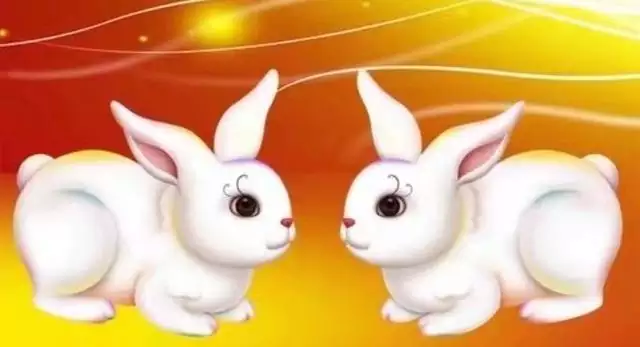 屬相不合的婚姻會怎樣：十二生肖里豬合不來的屬性