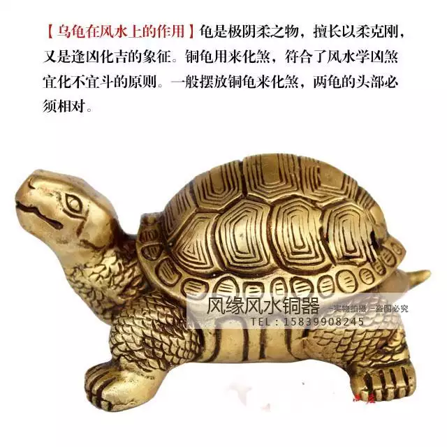 銅龜擺放位置頭朝哪邊：東南角放銅部朝那個方向好？