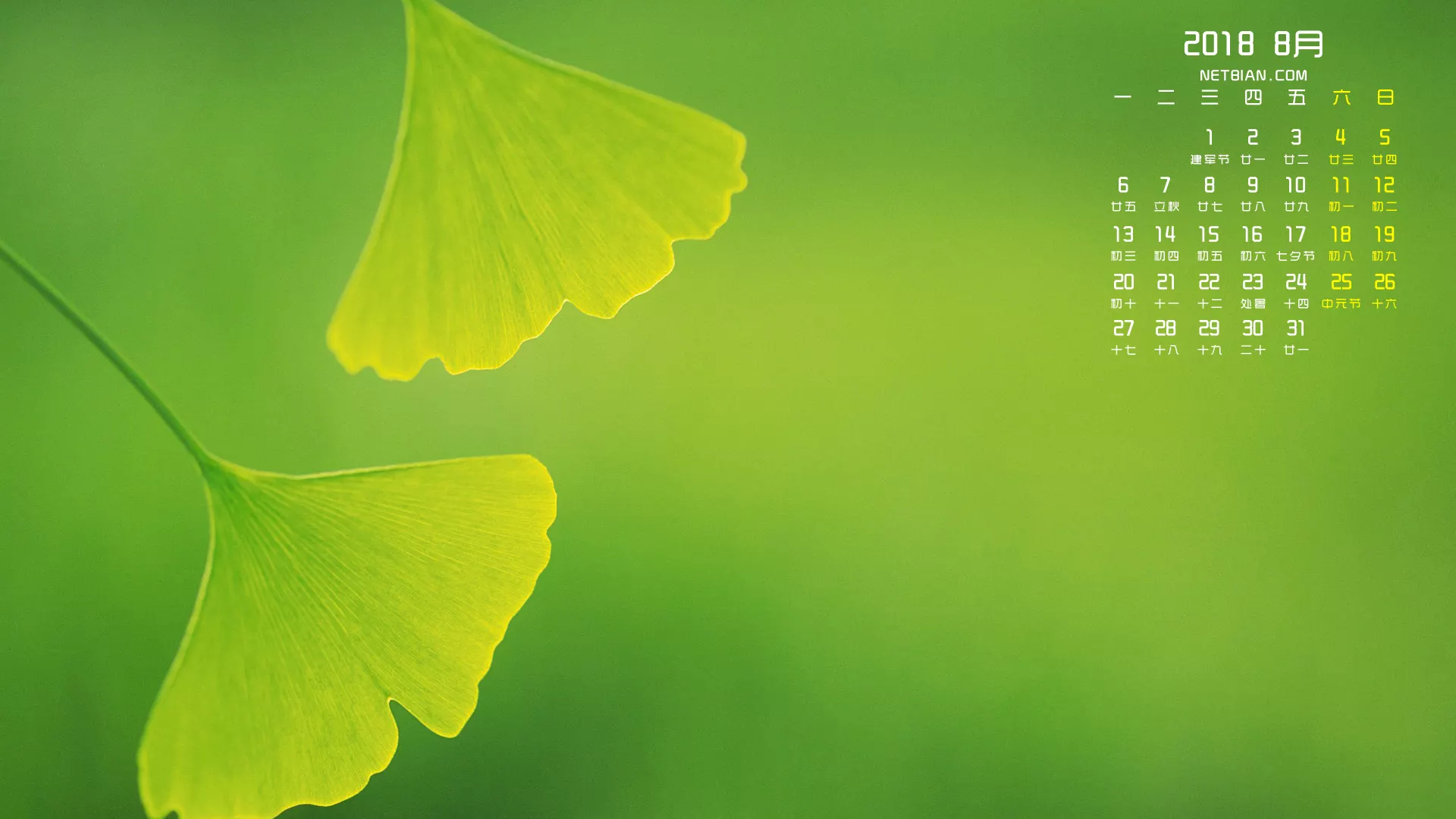 5、八月是什麼月?:8月是什麼季節