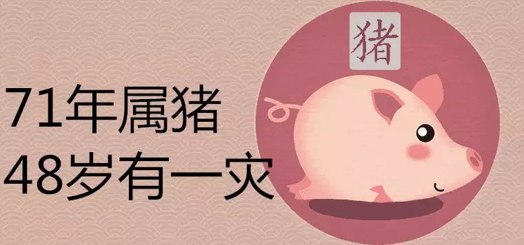 3、71年屬豬女人晚年命運:年屬豬女人命運