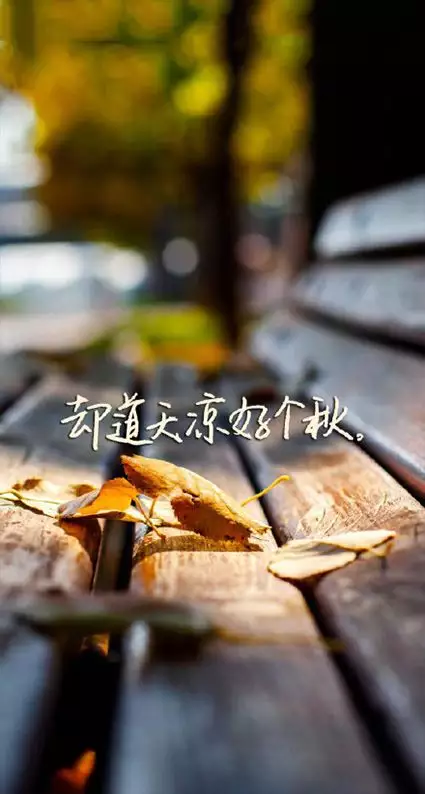 生日情話大全浪漫情話：過生日想要說情話？？該說什麼想要告白