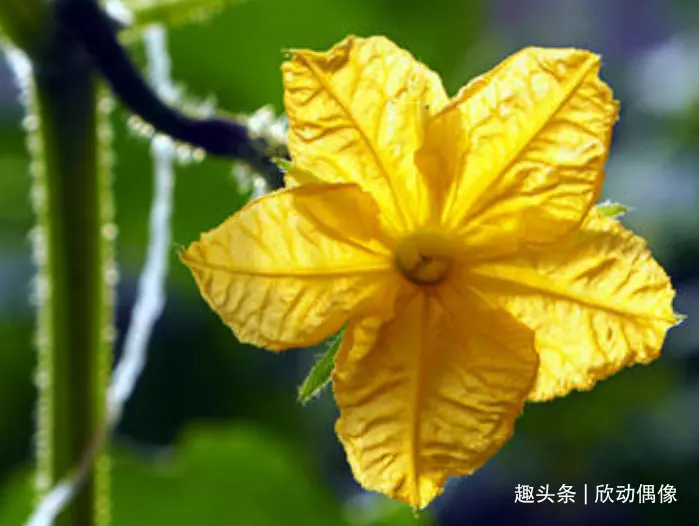 分手后糾纏不清的屬相：分手後有點糾纏不清，現在情形異常尷尬怎麼辦