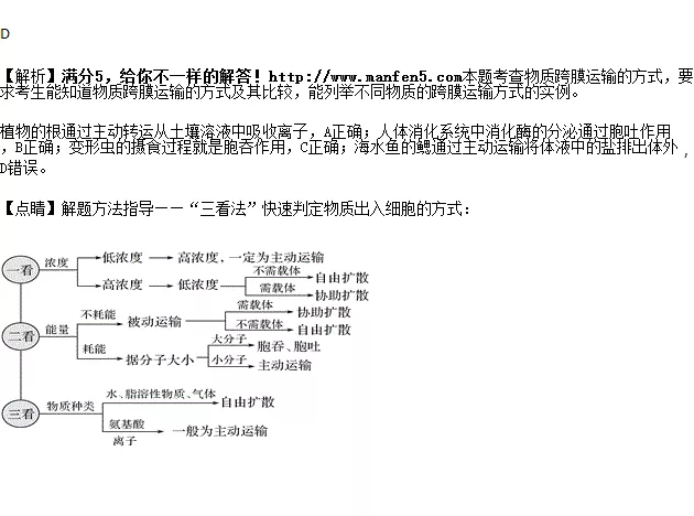 1、各種轉運方式的物質有哪些:常見的細胞跨膜物質轉運方式有哪些