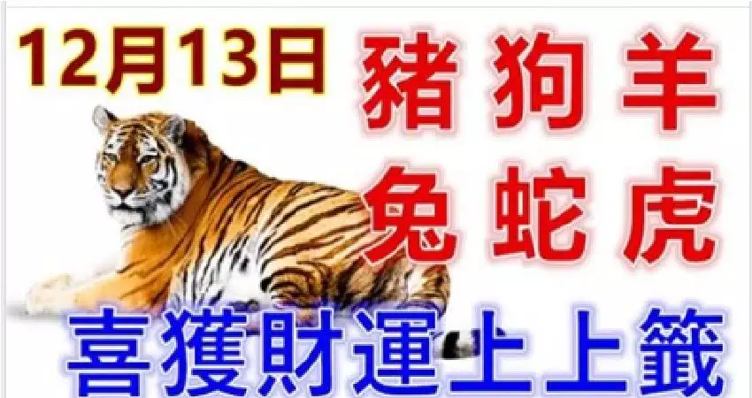 5、屬虎為何不能子時生:屬虎的女人子時出生的好嗎
