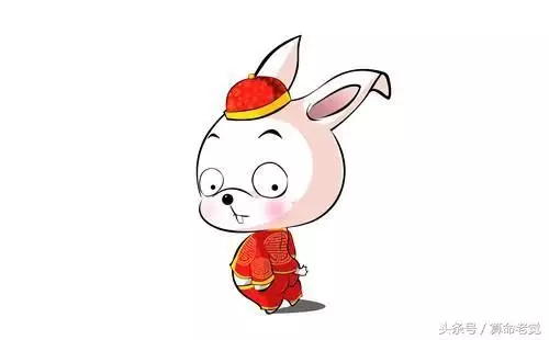 兒子孫子一個屬相：孫子屬於子女嗎