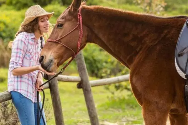 9、54年屬馬女多會死:54年生肖馬女性老年運勢如何?