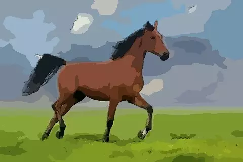 1、屬馬的人一生的命運:78年屬馬人一生命運是怎麼樣的